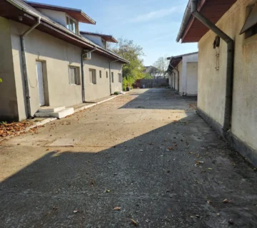 Animal hotel bucuresti 360x320