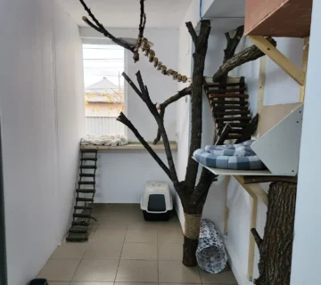 Animal hotel interior 360x320
