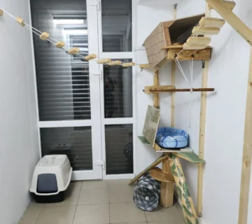 Animal hotel pisici bucuresti 360x320