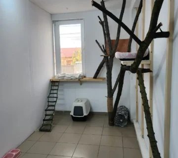 Animal hotel pisici cazare 360x320